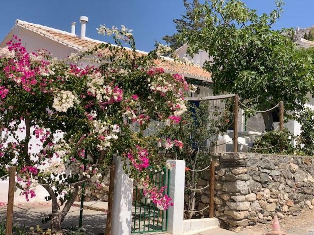 منزل الضيف إل شورو  في Casa Isabel - La Almona Chica المظهر الخارجي الصورة
